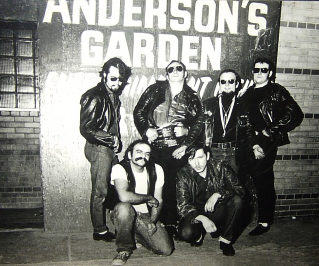 andersons gardens