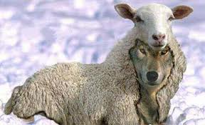 Wolf sheep clothing