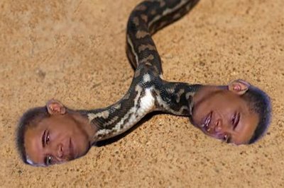Obama_Snake-Final